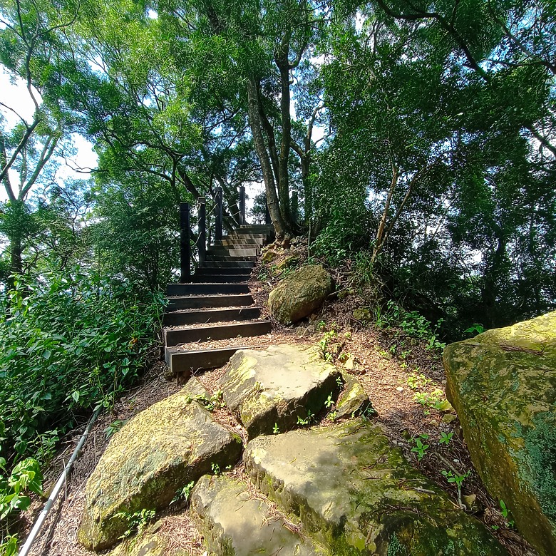 潭子新田登山步道能順便踩點旁邊的小百岳「聚興山」，生意盎然適合全家大小的綠色步道，帶你全部走一趟