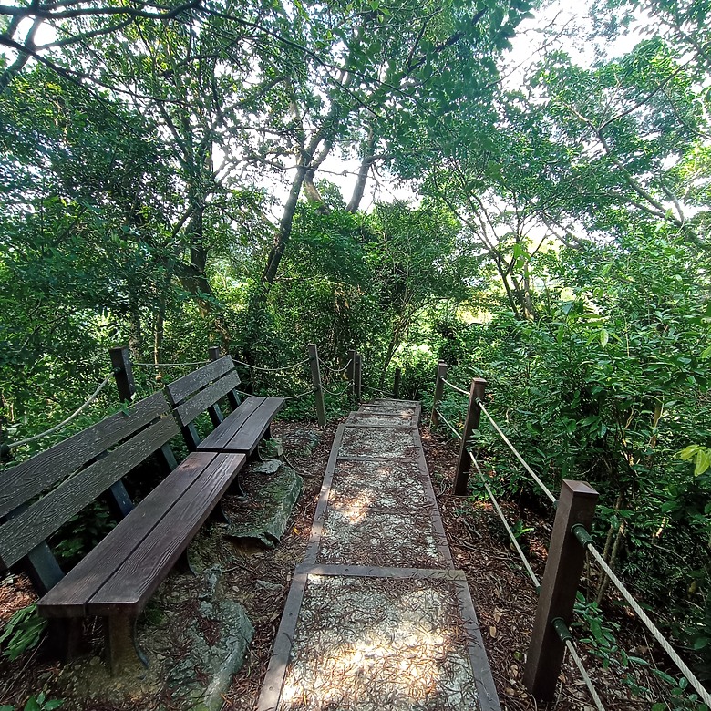 潭子新田登山步道能順便踩點旁邊的小百岳「聚興山」，生意盎然適合全家大小的綠色步道，帶你全部走一趟