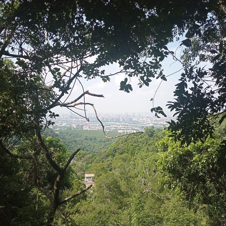 點我看大圖 潭子新田登山步道能順便踩點旁邊的小百岳「聚興山」,生意盎然適合全家大小的綠色步道,帶你全部走一趟