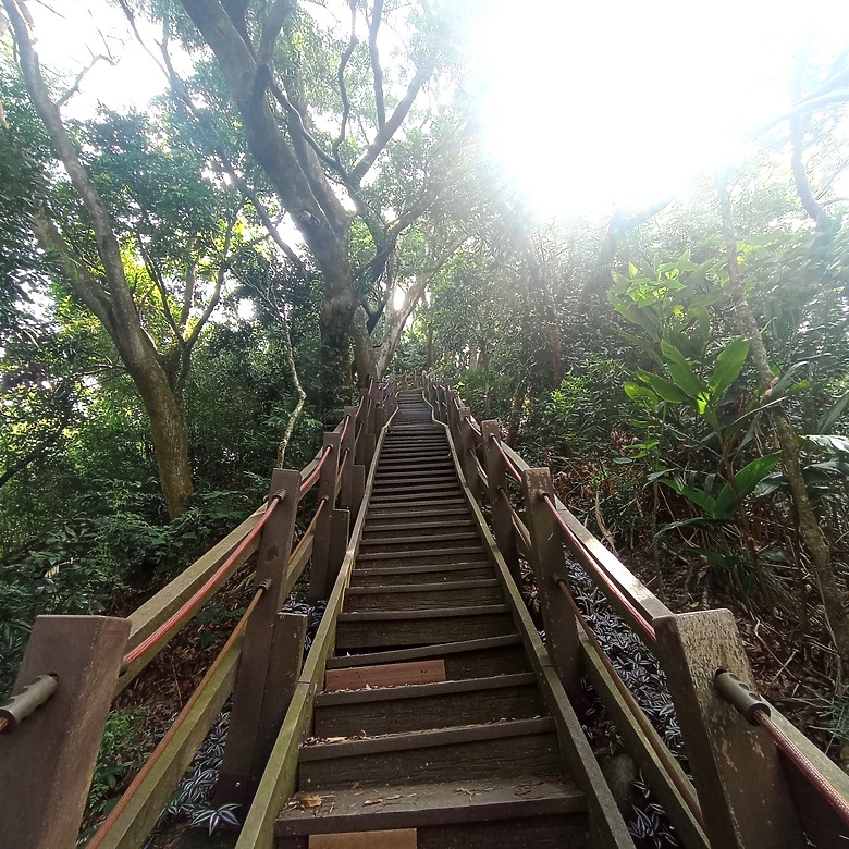 潭子新田登山步道能順便踩點旁邊的小百岳「聚興山」，生意盎然適合全家大小的綠色步道，帶你全部走一趟