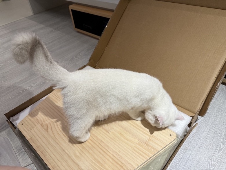 組裝簡單又好看! PETSFIT Modern Style Wood Cat House with Soft Mat 貓屋開箱
