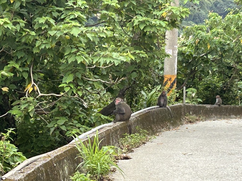登山健行最親民的知本白玉瀑布