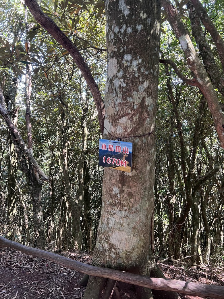 有點累又不會太累的高島縱走