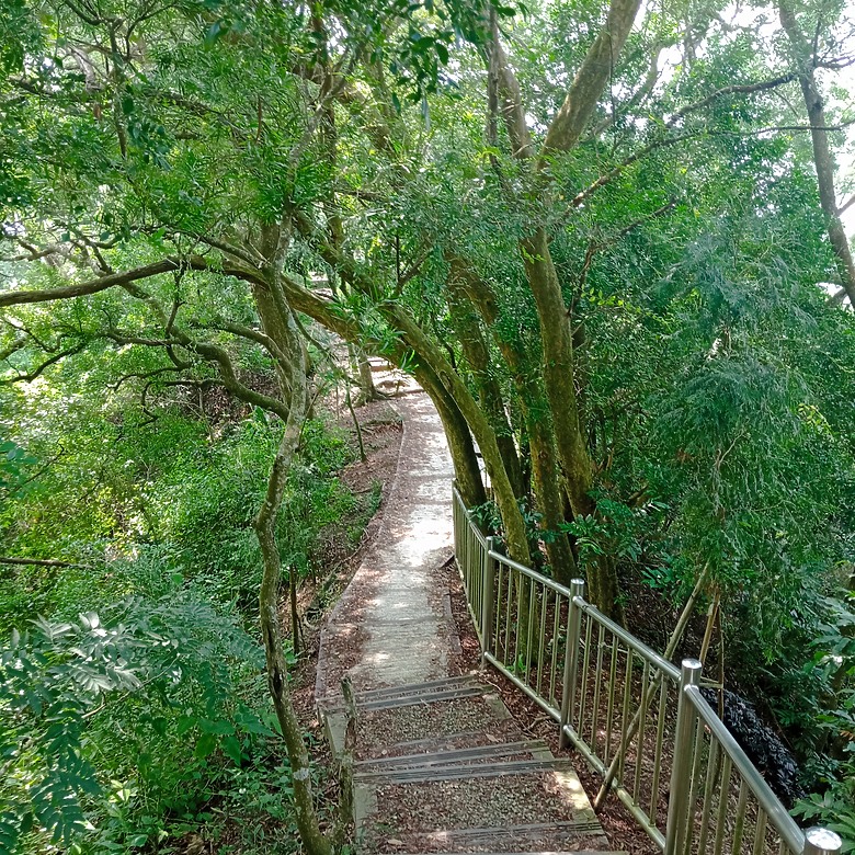潭子新田登山步道能順便踩點旁邊的小百岳「聚興山」，生意盎然適合全家大小的綠色步道，帶你全部走一趟