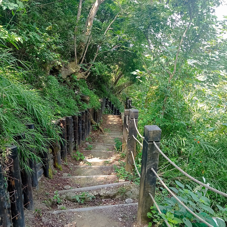 潭子新田登山步道能順便踩點旁邊的小百岳「聚興山」，生意盎然適合全家大小的綠色步道，帶你全部走一趟