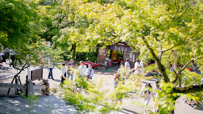 【關西】獨旅，京都古城篇(一)
