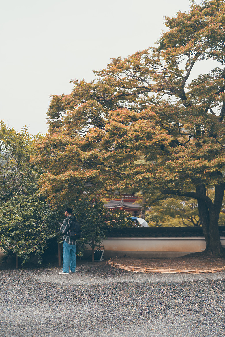 【關西】獨旅，京都古城篇(一)