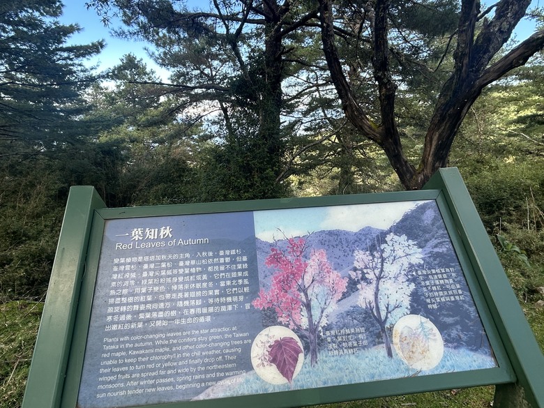 登麟趾山 朝聖台灣之巔玉山
