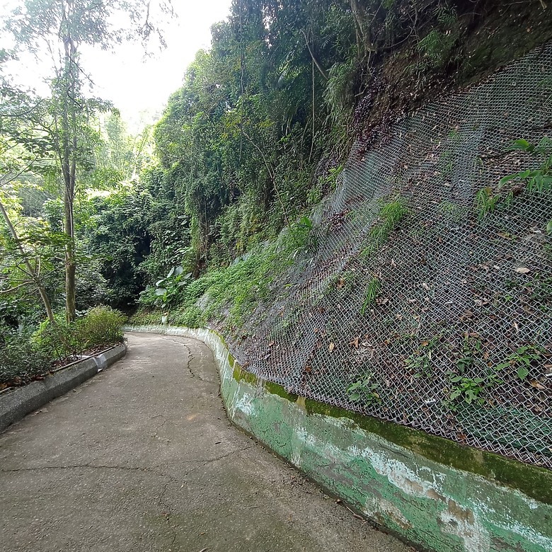 潭子新田登山步道能順便踩點旁邊的小百岳「聚興山」，生意盎然適合全家大小的綠色步道，帶你全部走一趟