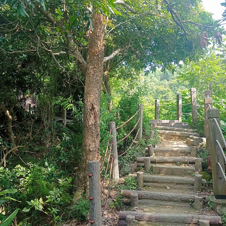 潭子新田登山步道能順便踩點旁邊的小百岳「聚興山」，生意盎然適合全家大小的綠色步道，帶你全部走一趟
