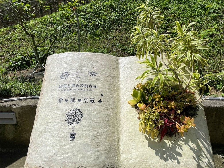 點我看大圖 七里香玫瑰森林花園,一年四季都有不同的風情,走走步道呼吸芬多精,春秋兩季有玫瑰花海可欣賞