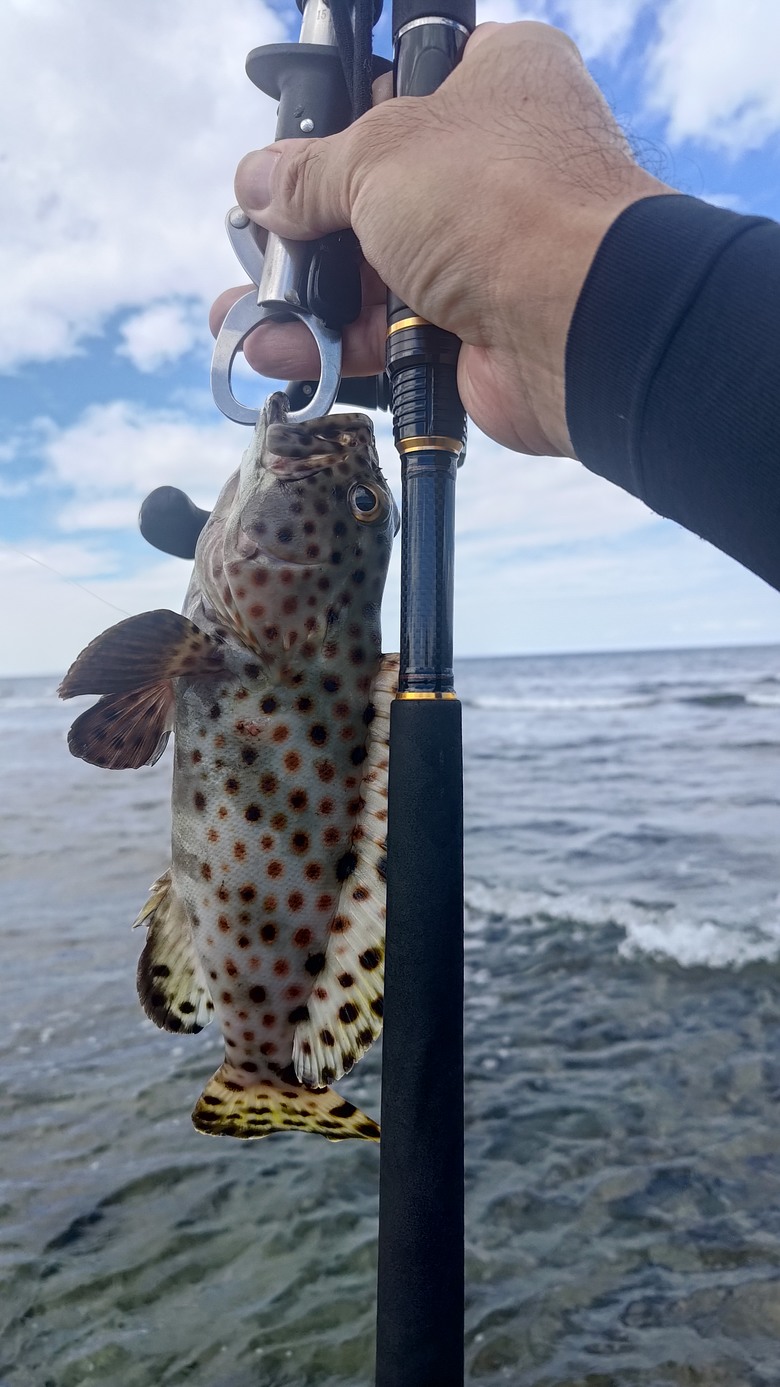 根釣小物