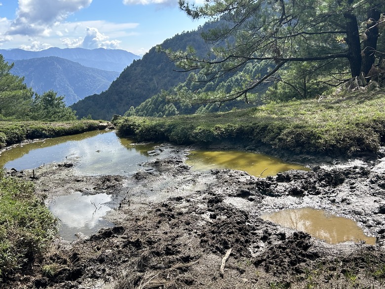 登麟趾山 朝聖台灣之巔玉山