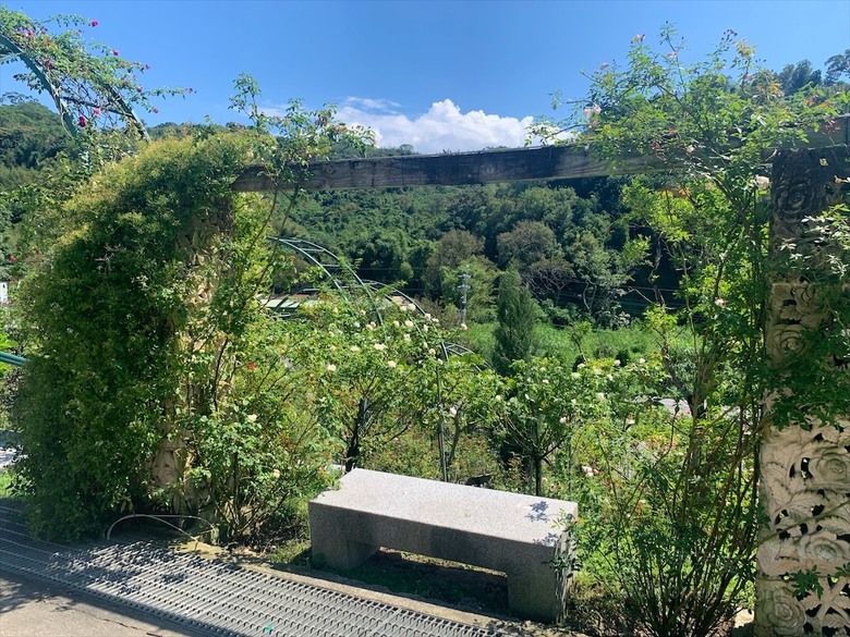 點我看大圖 七里香玫瑰森林花園,一年四季都有不同的風情,走走步道呼吸芬多精,春秋兩季有玫瑰花海可欣賞