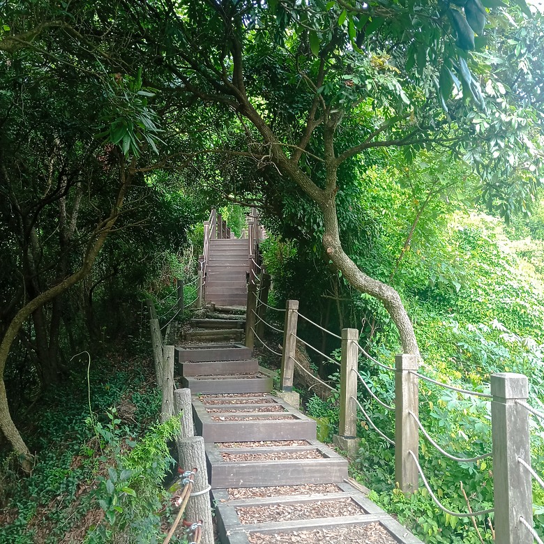 潭子新田登山步道能順便踩點旁邊的小百岳「聚興山」，生意盎然適合全家大小的綠色步道，帶你全部走一趟