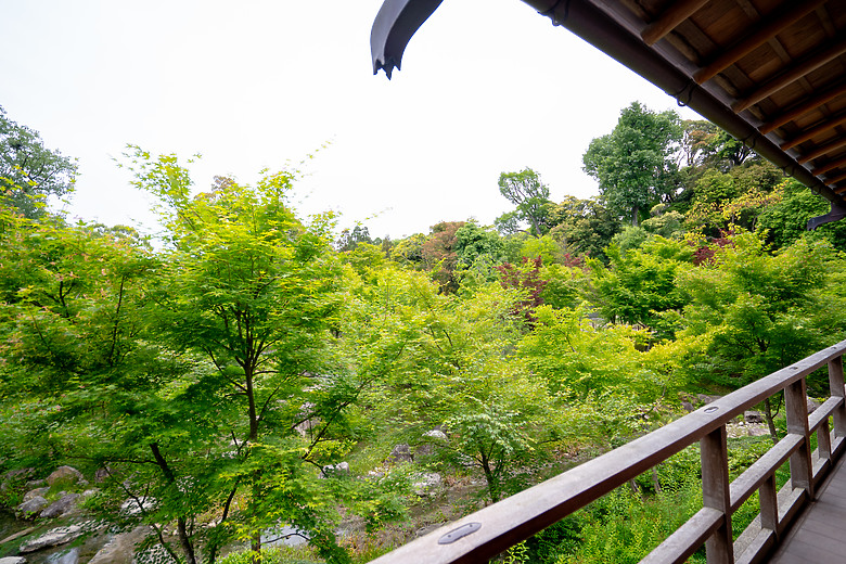 【關西】獨旅，京都古城篇(一)
