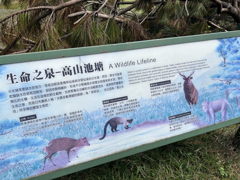 登麟趾山 朝聖台灣之巔玉山