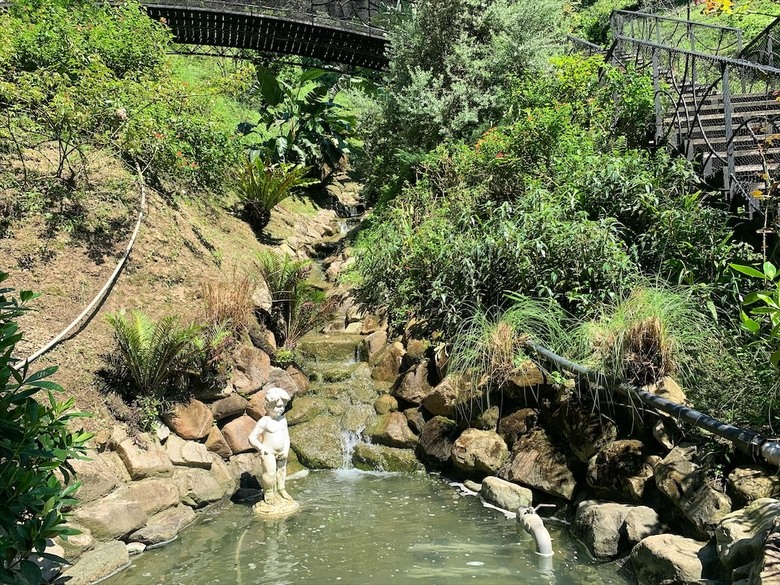 點我看大圖 七里香玫瑰森林花園,一年四季都有不同的風情,走走步道呼吸芬多精,春秋兩季有玫瑰花海可欣賞