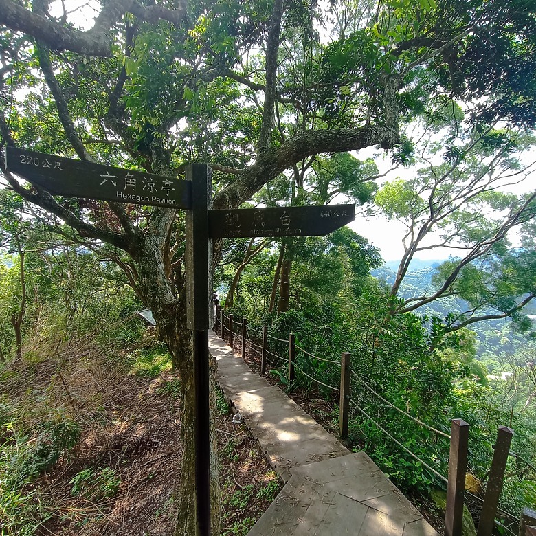 潭子新田登山步道能順便踩點旁邊的小百岳「聚興山」，生意盎然適合全家大小的綠色步道，帶你全部走一趟
