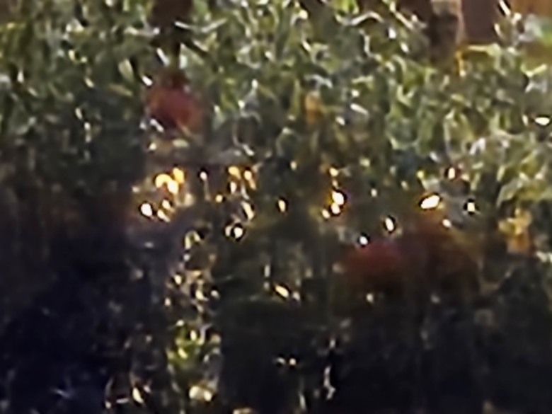 寳石藍的光芒無法抵抗 X200 Pro 開箱 Ft iPhone 16 Pro Max & S24 Ultra