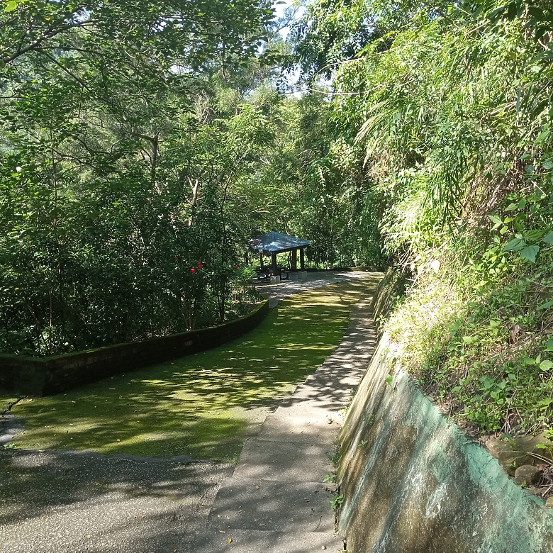潭子新田登山步道能順便踩點旁邊的小百岳「聚興山」，生意盎然適合全家大小的綠色步道，帶你全部走一趟