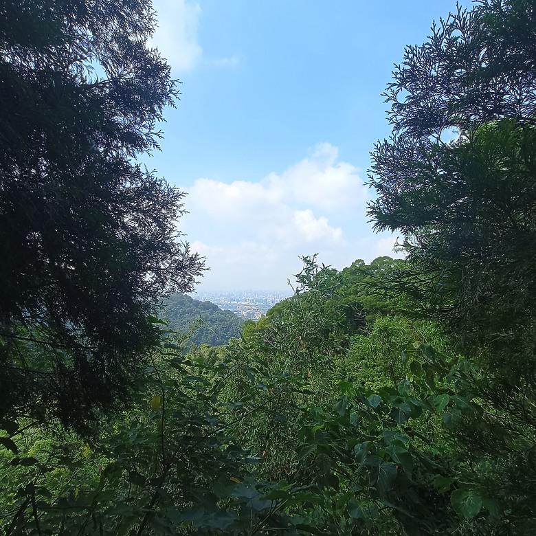 潭子新田登山步道能順便踩點旁邊的小百岳「聚興山」，生意盎然適合全家大小的綠色步道，帶你全部走一趟