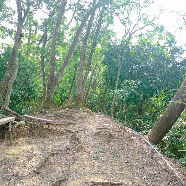 潭子新田登山步道能順便踩點旁邊的小百岳「聚興山」，生意盎然適合全家大小的綠色步道，帶你全部走一趟