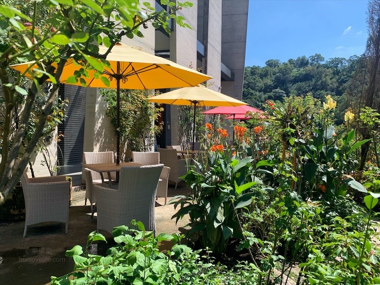 點我看大圖 七里香玫瑰森林花園,一年四季都有不同的風情,走走步道呼吸芬多精,春秋兩季有玫瑰花海可欣賞