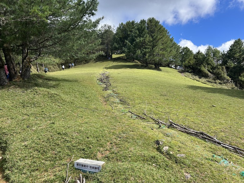 登麟趾山 朝聖台灣之巔玉山
