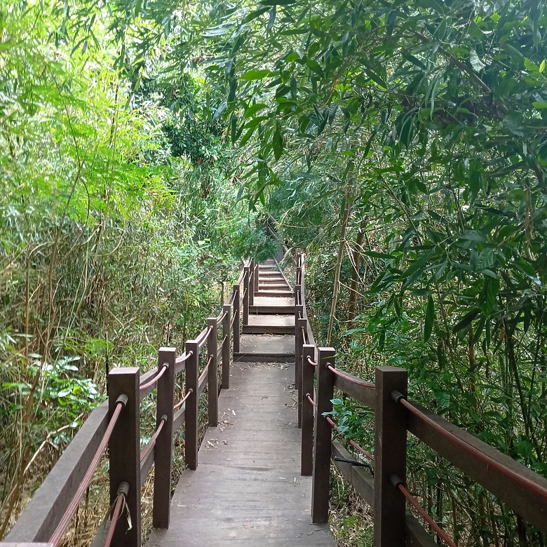 潭子新田登山步道能順便踩點旁邊的小百岳「聚興山」，生意盎然適合全家大小的綠色步道，帶你全部走一趟
