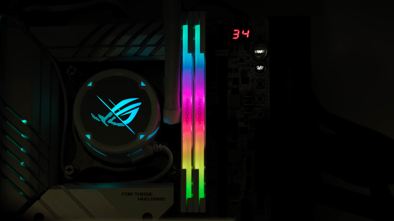 【開箱】蛇蛇再起! ANACONDA G5 PYTHON DDR5-8000 16Gx2 極簡易開箱測試