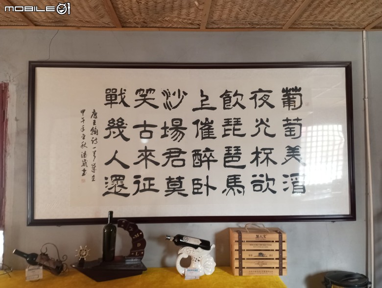 瘋狂之旅 人類禁區-可可西里(6)敦煌~芒涯冷湖