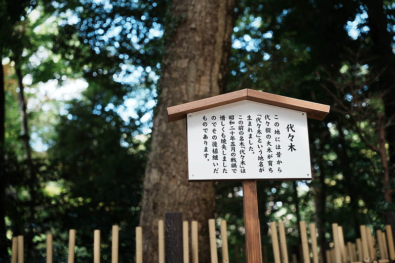 點我看大圖 2024 東京10天微深度遊–Day 1+2『 品川 • 咒術迴戰晴空塔 • 原宿&澀谷Sky』