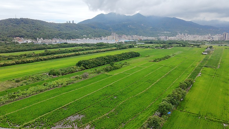 DJI Neo 評測報告｜低門檻又有誠意、最貼近生活的無人機！
