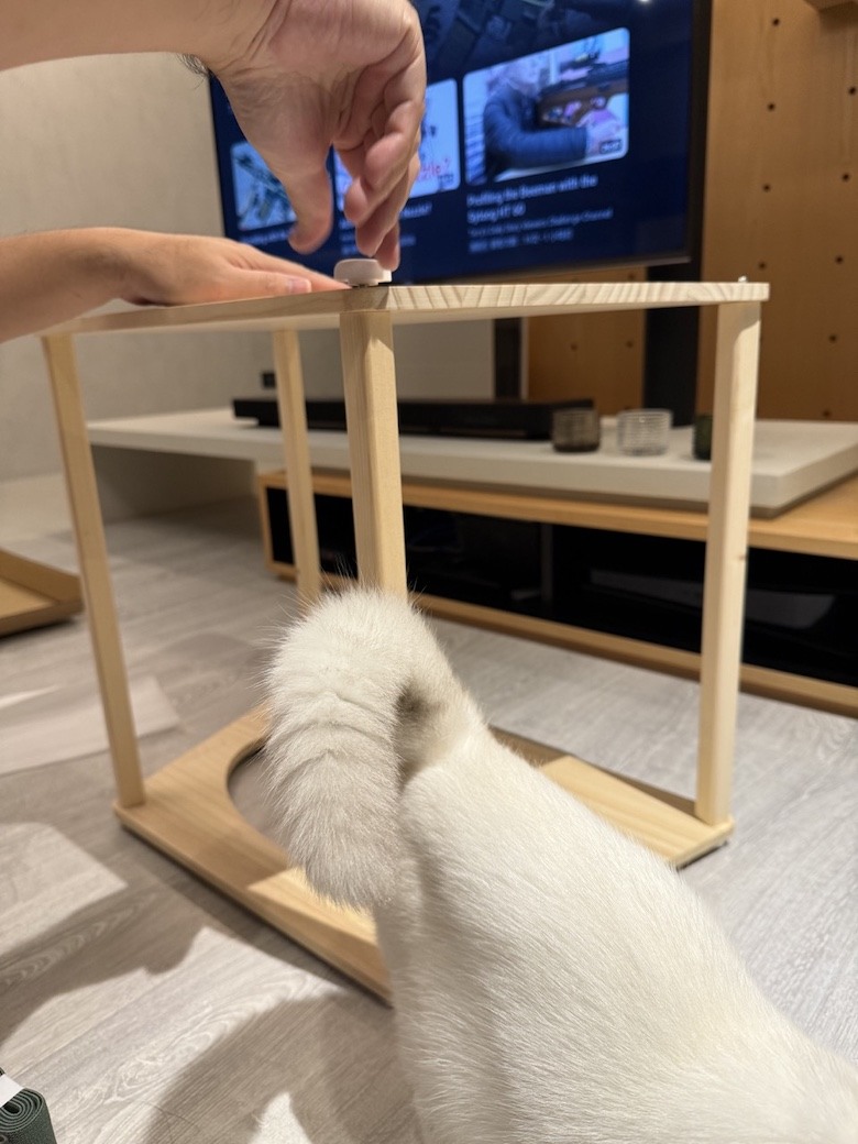 組裝簡單又好看! PETSFIT Modern Style Wood Cat House with Soft Mat 貓屋開箱