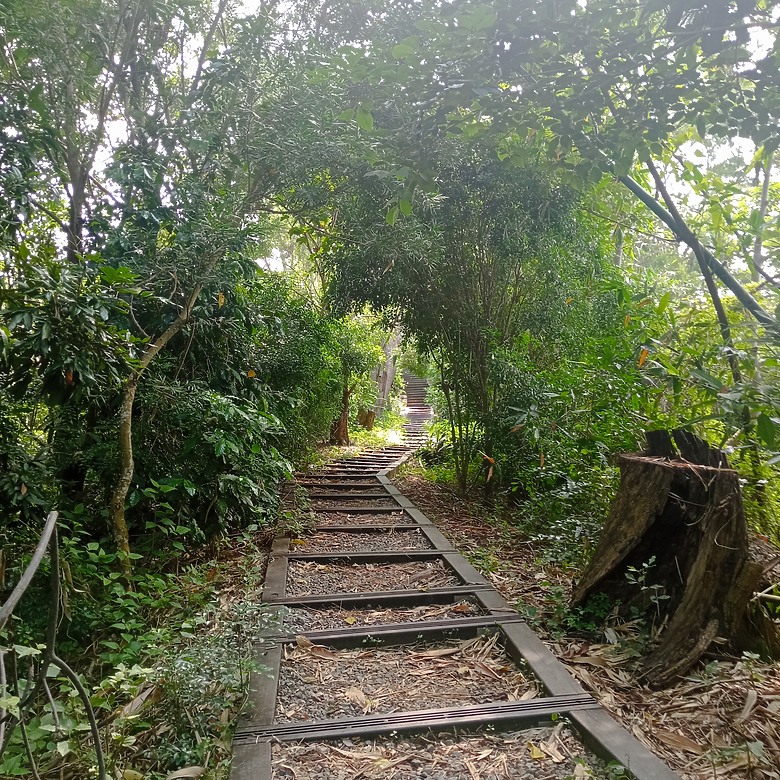 潭子新田登山步道能順便踩點旁邊的小百岳「聚興山」，生意盎然適合全家大小的綠色步道，帶你全部走一趟