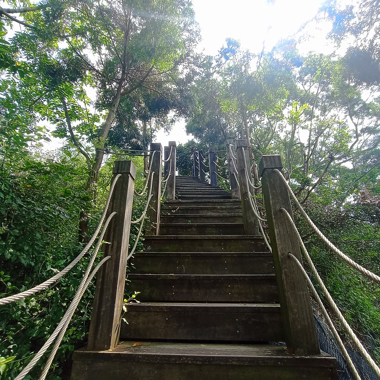 潭子新田登山步道能順便踩點旁邊的小百岳「聚興山」，生意盎然適合全家大小的綠色步道，帶你全部走一趟