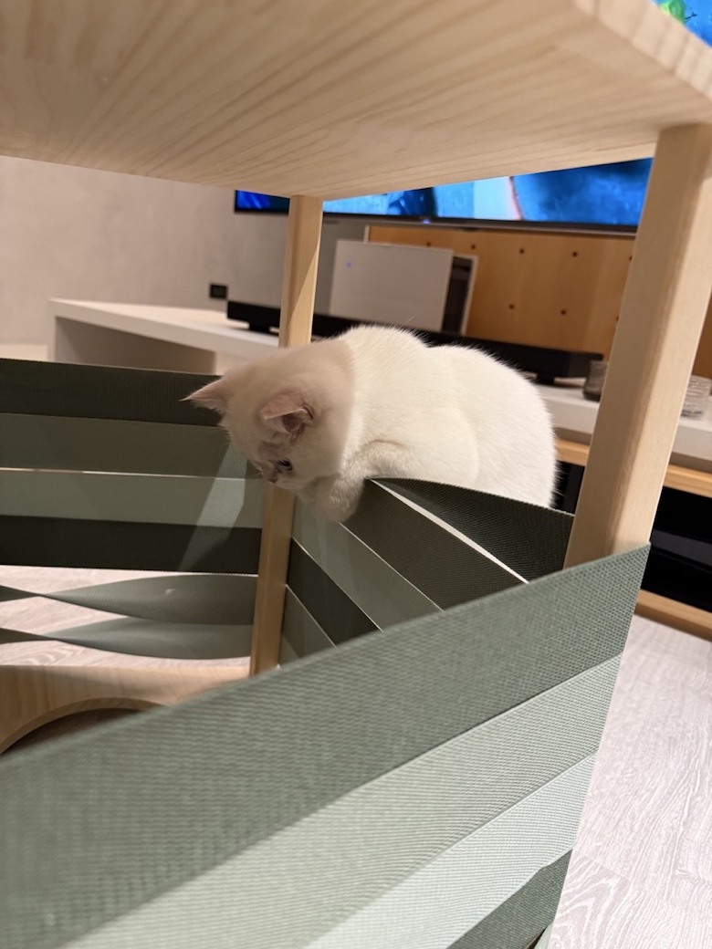 組裝簡單又好看! PETSFIT Modern Style Wood Cat House with Soft Mat 貓屋開箱
