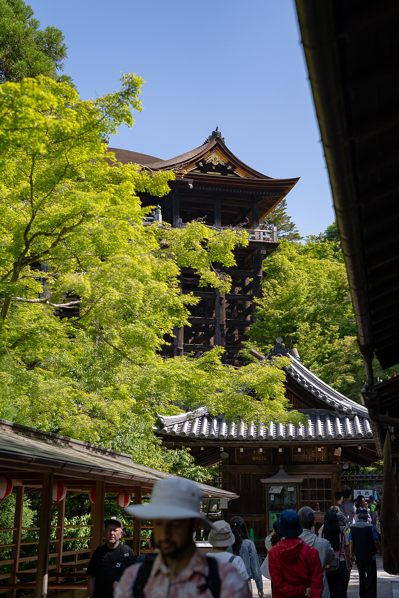 【關西】獨旅，京都古城篇(一)