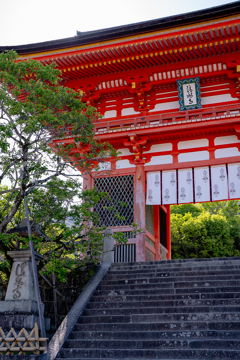 【關西】獨旅，京都古城篇(一)