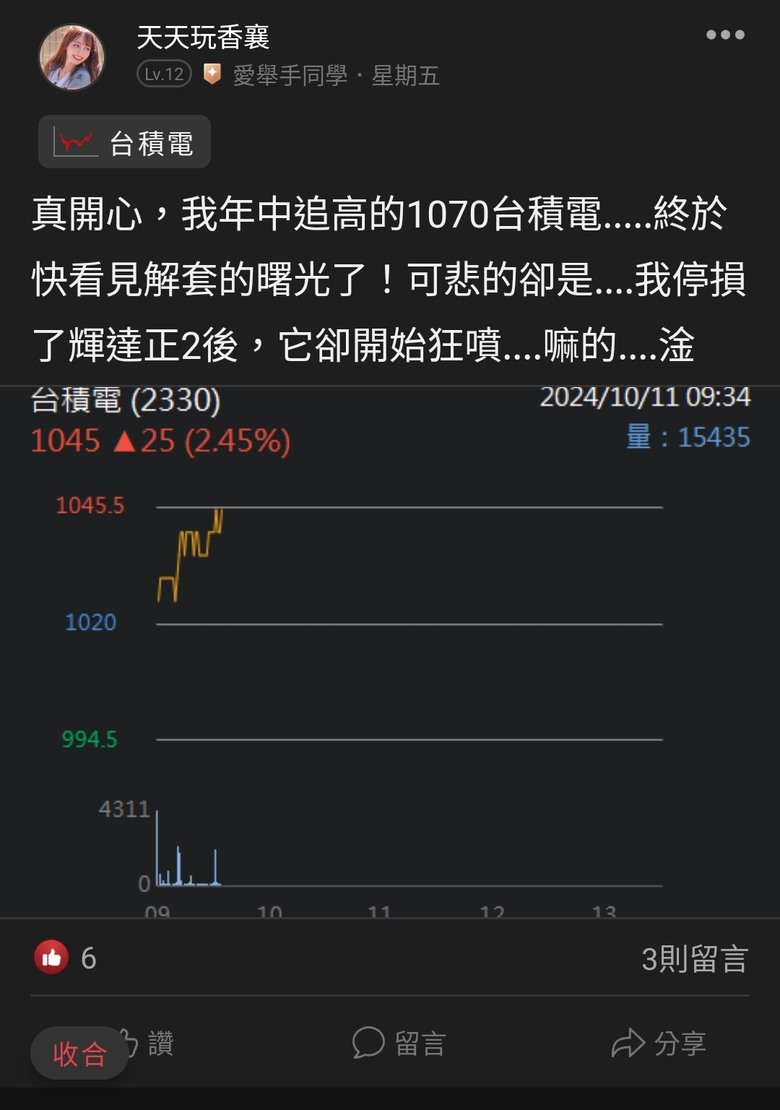 這是關於貸款200萬買輝達兩倍槓桿NVDL的故事
