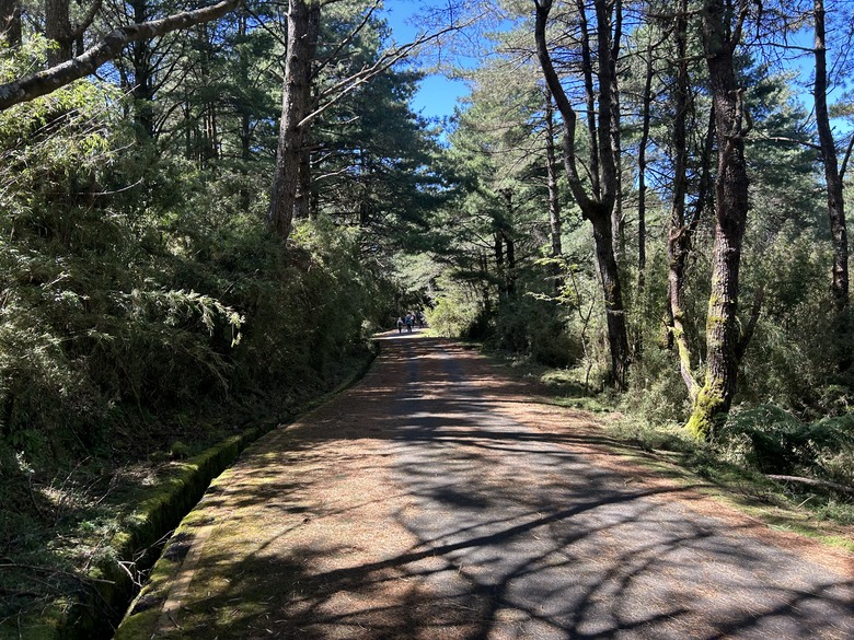 登麟趾山 朝聖台灣之巔玉山