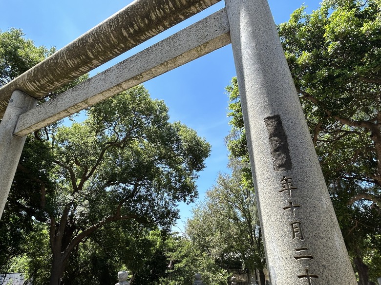 騎遊海線大站「來通霄、玩通宵」