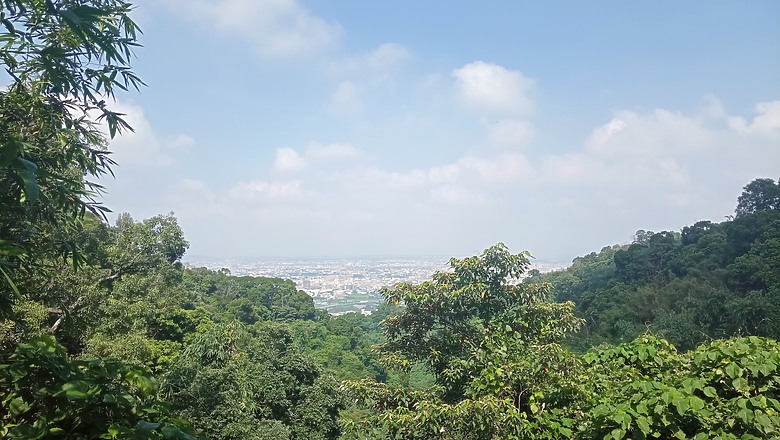 潭子新田登山步道能順便踩點旁邊的小百岳「聚興山」，生意盎然適合全家大小的綠色步道，帶你全部走一趟