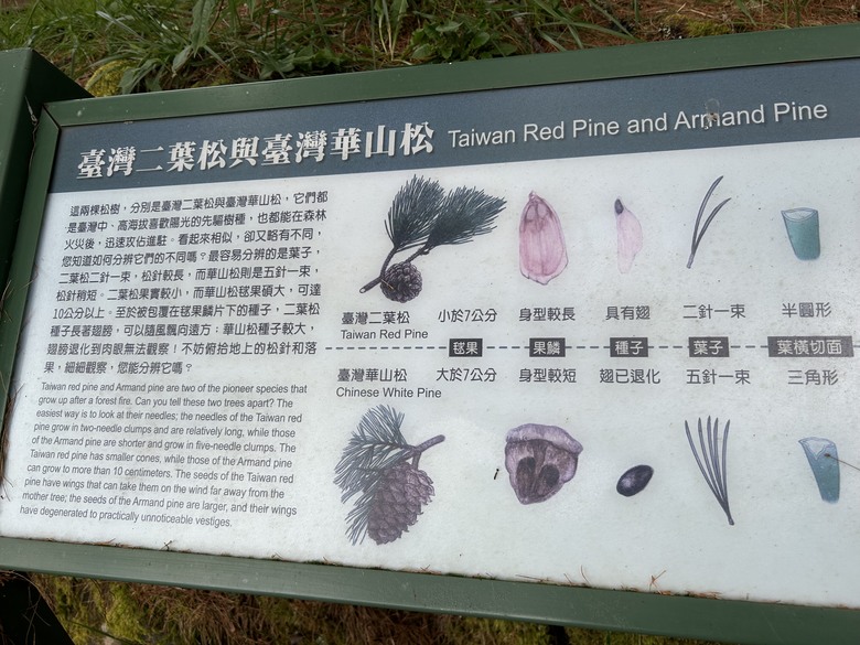 登麟趾山 朝聖台灣之巔玉山