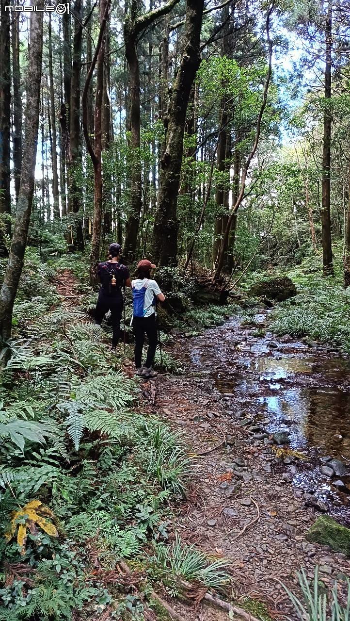 外鳥嘴+那結山O繞~山林溪水滿滿芬多精