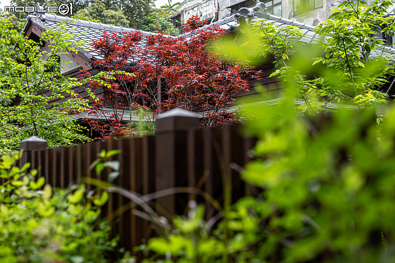 點我看大圖 城市中的森林~0km山物所,RF50mm f/1.2L USM拍攝心得分享