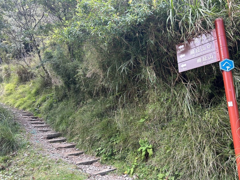 登麟趾山 朝聖台灣之巔玉山