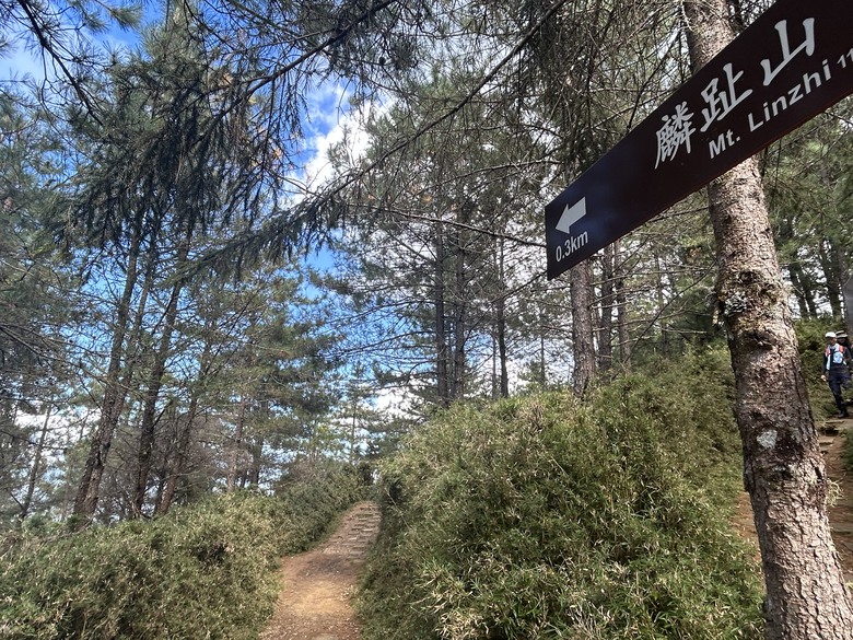 登麟趾山 朝聖台灣之巔玉山
