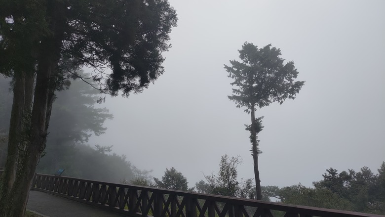 點我看大圖 【遊記】夸父逐日想跑贏太陽,大漠逐日是想看日出,阿里山國家森林遊樂區 (祝山線) - 大漠國渡